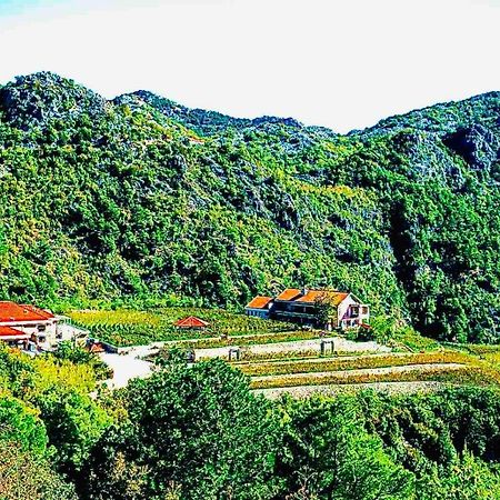 Eco Winery Lipovac Apartments 采蒂涅 外观 照片