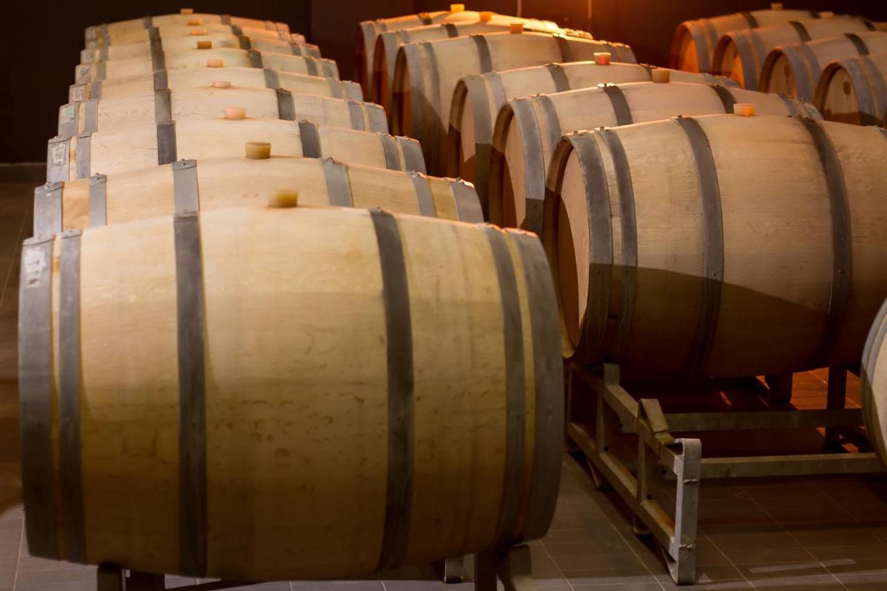 Eco Winery Lipovac Apartments 采蒂涅 外观 照片