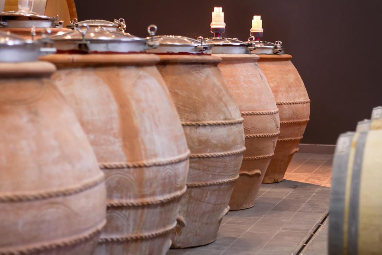 Eco Winery Lipovac Apartments 采蒂涅 外观 照片