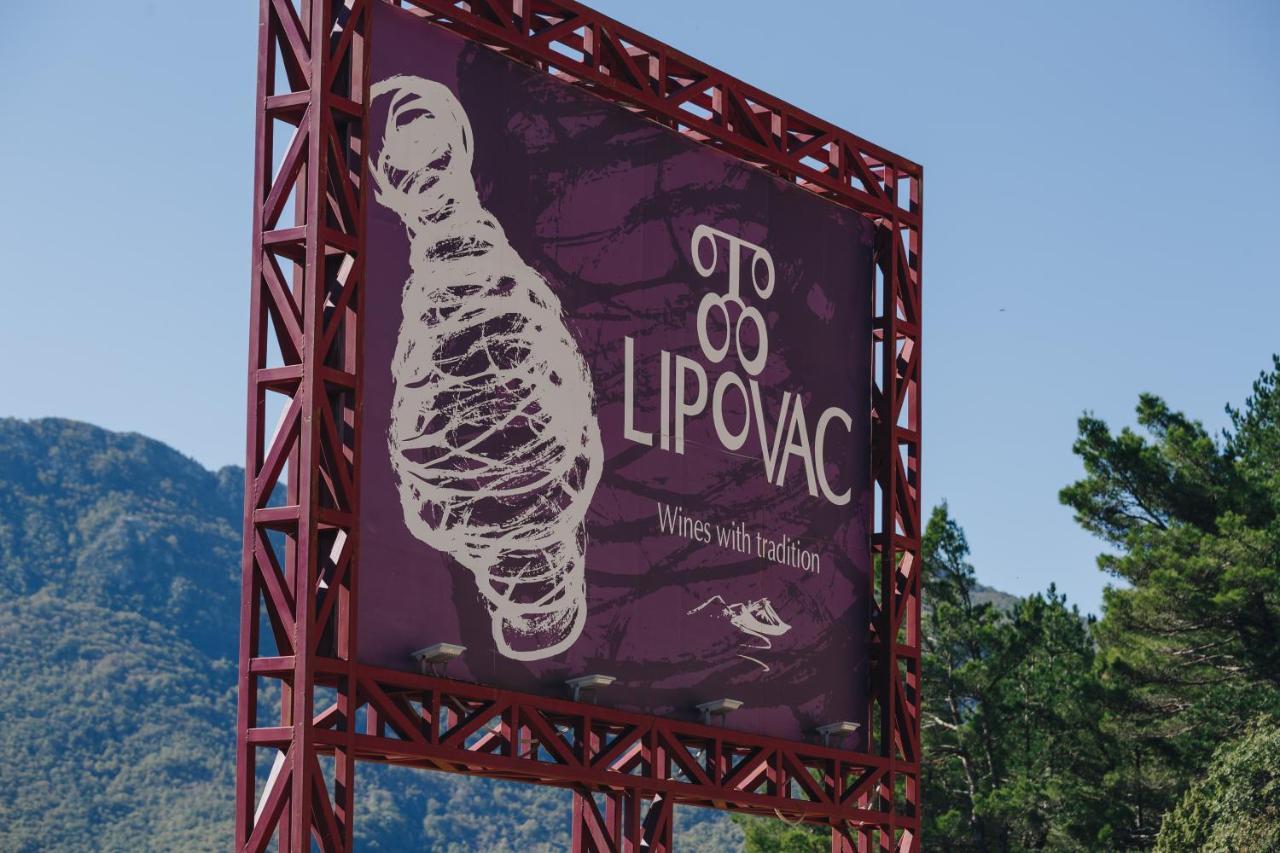 Eco Winery Lipovac Apartments 采蒂涅 外观 照片