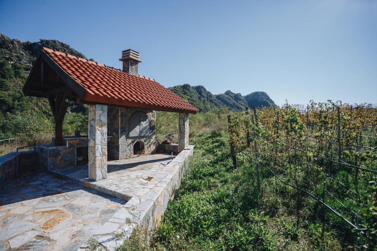 Eco Winery Lipovac Apartments 采蒂涅 外观 照片
