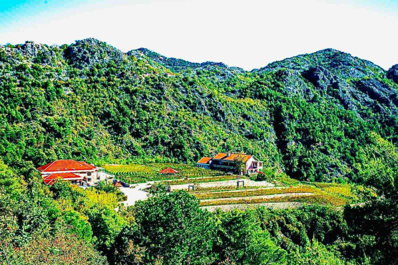 Eco Winery Lipovac Apartments 采蒂涅 外观 照片
